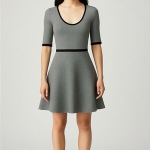 Club Monaco Gray and Black Mini Dress